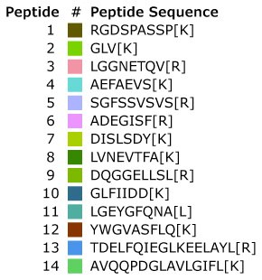 MSRT1 peptide sequences. Labelled amino acids in brackets. Table with MSRT1 peptide sequences. Labelled amino acids in brackets.