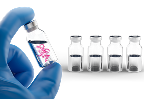 Multiple Vials Protein Stabilizers Transparent Multiple glass vials filled with liquid drugs, one vial held in hand with protein inside
