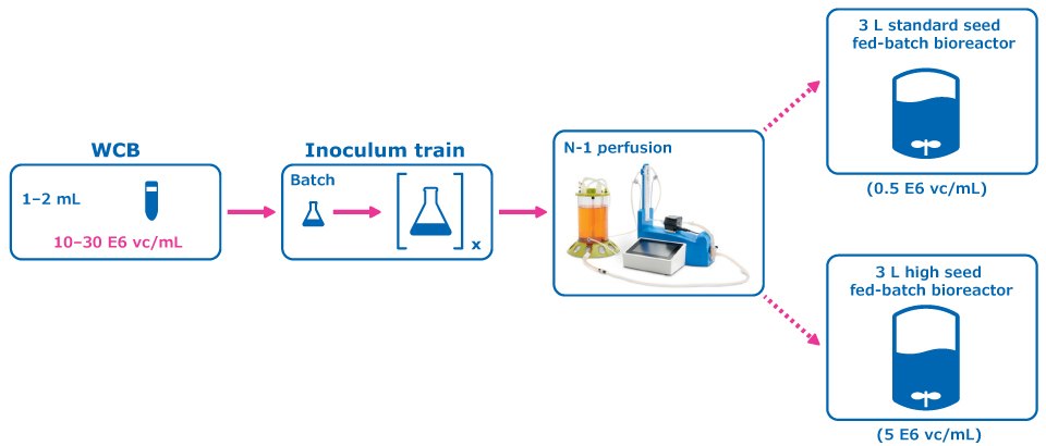 Experimental condition: Perfused N-1 Seed Train Figure 1 (Experimental condition: Perfused N-1 Seed Train) shows the experimental plan for intensified upstream case study evaluation comparing a perfused N-1 seed train utilizing a Cellicon® filter for cell retention to a conventional seed train in shake flasks prior to inoculation of a set of fed-batch bioreactors at 0.5E6 cells/mL.