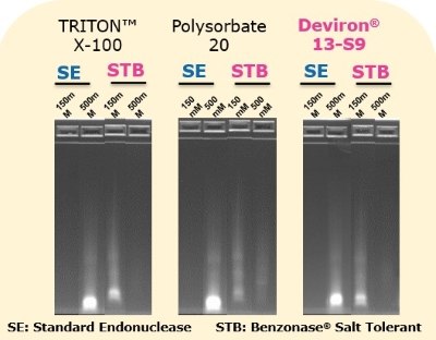 Benzonase® Salt Tolerant endonuclease retains its ability to digest DNA when used in combination with different detergents La endonucleasa tolerante a la sal Benzonase<sup>®</sup> conserva su capacidad de digerir el ADN cuando se utiliza en combinación con una variedad de detergentes, entre ellos el polisorbato 20, el Triton X-100, el Deviron<sup>®</sup> C16 o el Deviron<sup>®</sup> 13-S9.