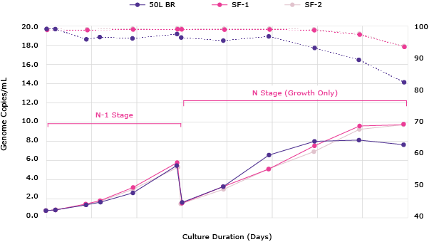 Cell Growth in Bioreactor Figure 7. VirusExpress® 293 AAV Production Cells were cultured for batch growth in Mobius® 50 L Single-Use Bioreactor. Cells were seeded at 6 x 105cells/mL and diluted with fresh media on Day 3. Peak viable cell density (VCD) of 8 x 106cells/mL was obtained in Mobius® 50L bioreactor with viability >90%.