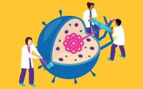 The Process of Cell lysis and DNA Digestion Illustration of scientists cutting open the cell and extracting the DNA inside, all while breaking up any unwanted DNA.