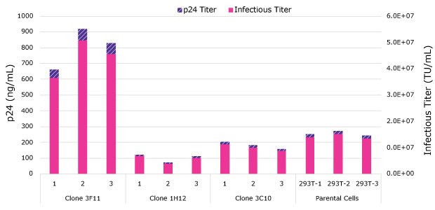 Lentivirus harvest titers at 48 hours post-transfection Three clones with improved growth characteristics were screened for lentivirus production. Clone 3F11 demonstrated superior lentivirus titers compared to Clone 1H12, Clone 3C10, and parental HEK293T cells. The p24 titer was above 600 ng/mL compared to the others which all fell under 300 ng/mL