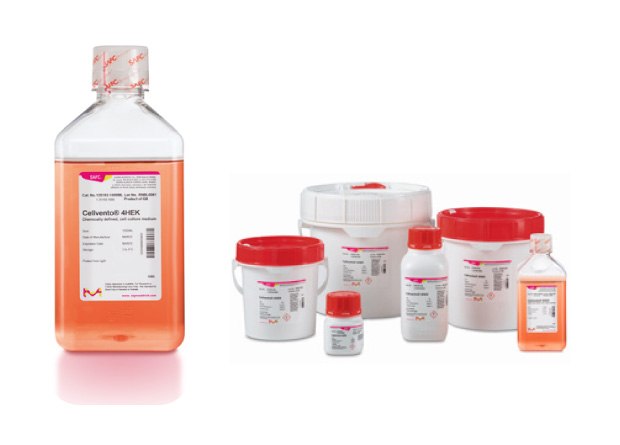 Optimization and Final Formulation Cellvento® 4HEK Media in liquid and powder format