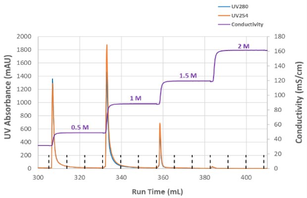 Overall recovery and step elution conductivity conditions and UV absorbance at different salt concentrations. The graph is titled Mustang Q Step Elution 0.5 M to 2.0 M NaCl and shows UV absorbance (mAU) at 0.5 M, 1 M, 1.5 M and 2 M NaCl. UV absorbance was plotted at UV280 ,a blue line, and UV254, and organge line, and indicates the measured conductivity (mS/cm) for each NaCL concentration in a step wise purple line over each run time. 0.5 M has a conductivity at about 55 mS/cm and a UV peak close to 1400mAU for both UV absorbances, 1M has a conductivity at 90 mS/cm and a UV peak about 1900 mAU for both UV absorbances, 1.5M has a conductivity at 120 mS/cm and a UV peak at about 700 mAU for both UV absorbances, and 2M has a conductivity at 160 mS/cm and a UV peak at about 50 mAU for both UV absorbances.
