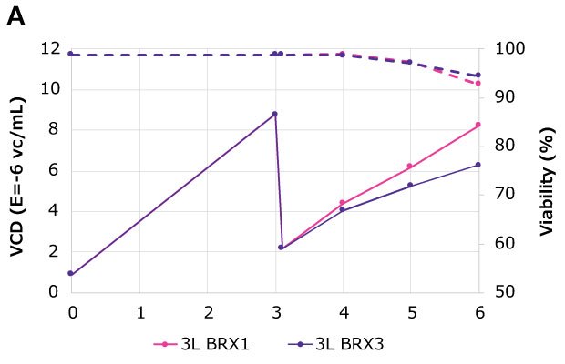 Viable cell density achieved in the 3L bioreactor At harvest time point of 48 hours post-transfection (Day 6), VCD of 6E+06 vc/mL to ~8E+06 vc/mL was achieved in Mobius<sup>®</sup> 3 L Bioreactors (BRX) (solid lines) while maintaining harvest viability of > 90% (dotted lines). Transfection was done on Day 4.
