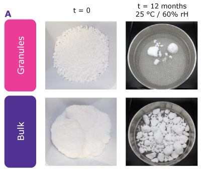Appearance of Granulated Urea Following 12 Month Stability Study Granulated urea showed significantly less caking than non-granulated bulk materials
