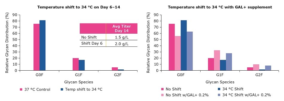 Effect of GAL+ supplementation and temperature shifts on glycan profile Effect of GAL+ supplementation and temperature shifts on glycan profile