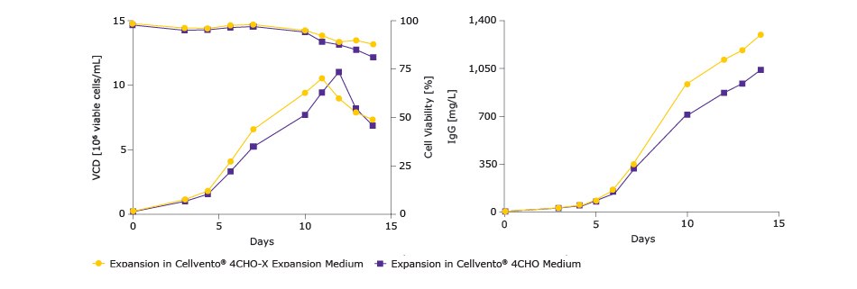 38406_Preparing_CHO_Cells_Whitepaper_Images_620x320 Bioreactor confirmation of compatibility with Cellvento® 4CHO
