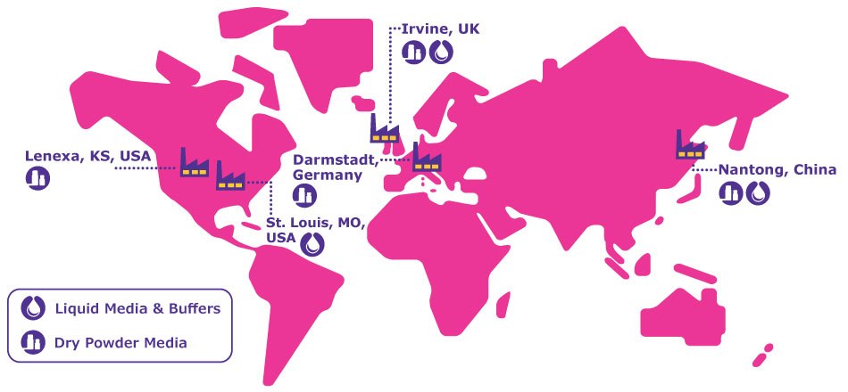 World Map of Our Global Cell Culture Media Manufacturing Sites A a pink world map with cell culture media production sites for dry powder and liquid media as well as buffers in Lenexa and St. Louis, USA, Darmstadt, Germany, Irvine, UK as well as Nantong, China.