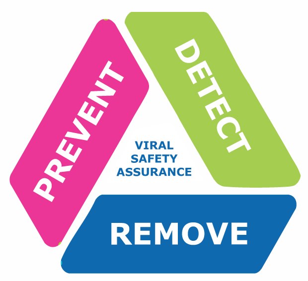 Visual representation of viral safety assurance in center, surrounded by the three essential components: 'Prevent', 'Detect', and 'Remove'