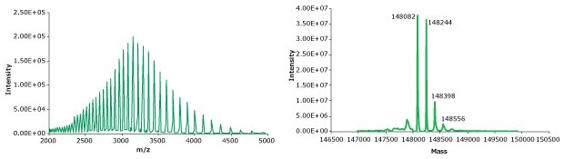 MS spectrum of intact adalimumab MS spectrum of intact adalimumab obtained during intact mass analysis