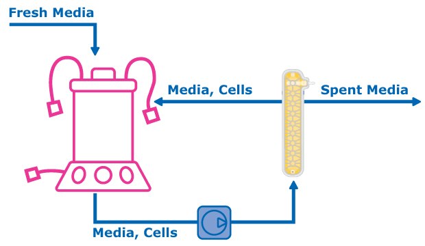 Schematic of Cellicon® filter connected to 3L Mobius® bioreactor Cellicon® filter connected to 3L Mobius® bioreactor.