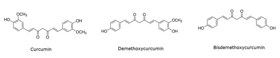 Black-and-white skeletal chemical structures of three curcuminoid compounds arranged from left to right. On the left is curcumin, which consists of two aromatic rings each substituted with a hydroxyl group and a methoxy group, connected by a seven-carbon chain containing two α,β-unsaturated carbonyl groups. In the middle is demethoxycurcumin, which has a similar backbone to curcumin but only one of the aromatic rings contains a methoxy group; the other ring has just a hydroxyl group. On the right is bisdemethoxycurcumin, which features two aromatic rings each with only one hydroxyl group, with no methoxy substitutions, and the same central diketone linkage connecting them.