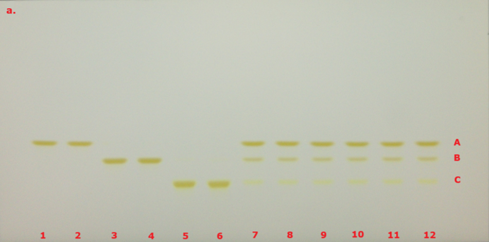 A thin-layer chromatography (TLC) plate with twelve sample lanes labeled 1 through 12 in red at the bottom. Each lane shows three horizontal bands of yellowish spots at varying heights, labeled A, B, and C on the right side in red. These fluorescent bands represent curcumin (top band A), demethoxycurcumin (middle band B), and bisdemethoxycurcumin (bottom band C). These bands represent separated components of the samples applied to the plate. The bands are clearly resolved and appear in consistent positions across lanes 7 to 12, indicating reproducible separation, while lanes 1 to 6 show varied band positions and intensities. The plate background is a light, neutral color, and the overall contrast highlights the separated spots effectively.