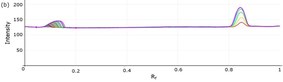 A two-dimensional densitogram showing the same calibration tracks plotted against Rf values on the x-axis and intensity on the y-axis. Here, the same-colored lines show two main sets of peaks corresponding to different compounds, with the higher Rf peaks being sharp and symmetrical, indicating consistent detection. The overlapping stacked nature of the lines demonstrates the increasing concentration gradient used for calibration.