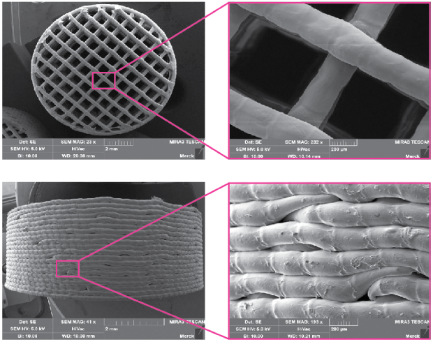 SEM images of 3D printed tablets and strands SEM images of 3D printed tablets and strands