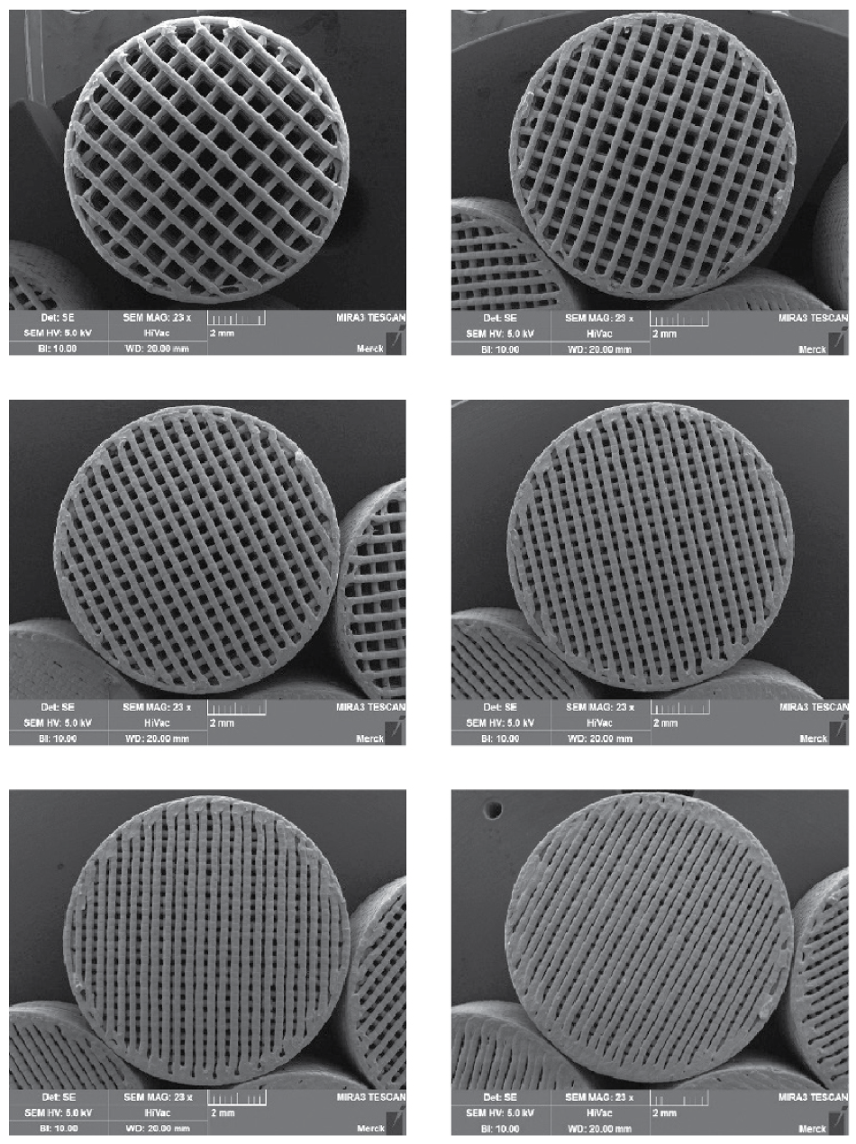 SEM images of 3D printed tablets SEM images of 3D printed tablets with different porosity and surface area