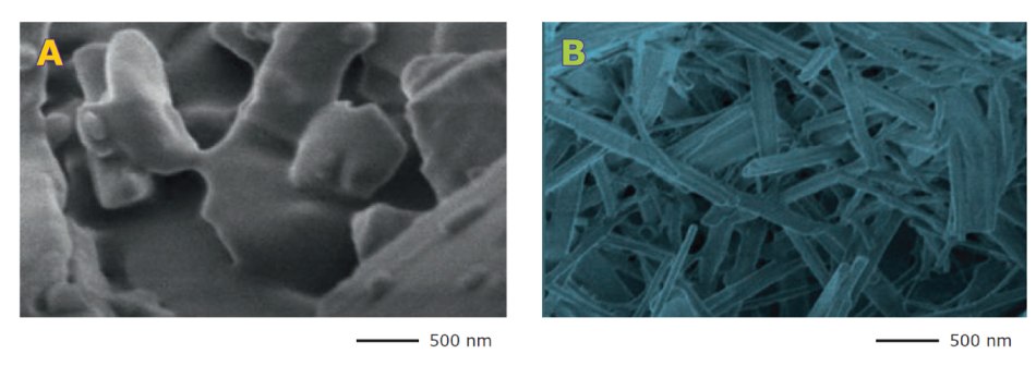 SEM Images of Mannitol SEM images comparing the particle structures of conventional directly compressible mannitol (A) and particle engineered Parteck® M mannitol (B)