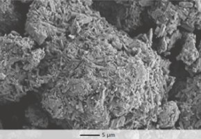 SEM Parteck Parteck® M excipient enables tablets to be compacted at low compression forces.