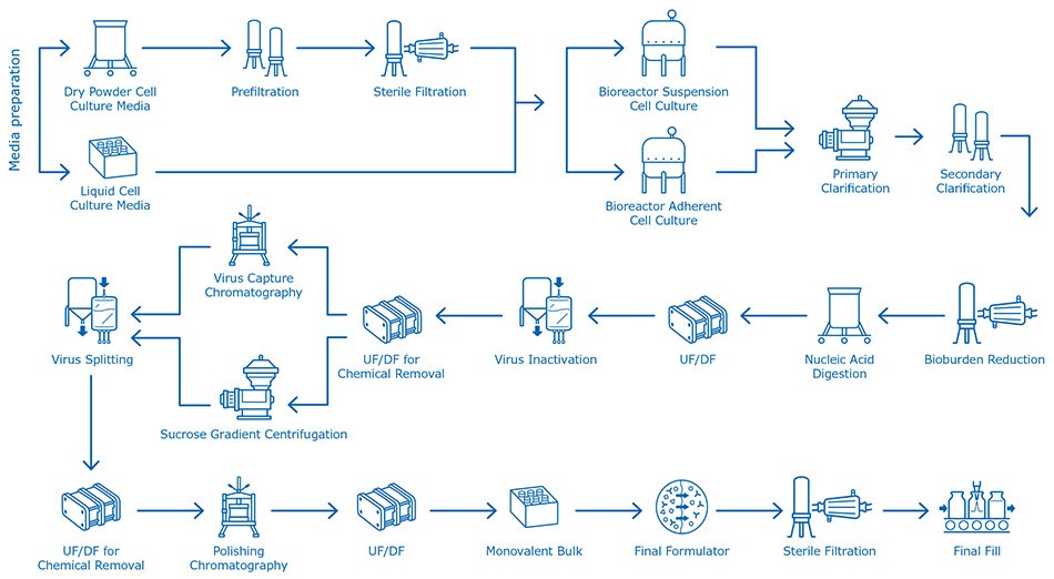 Egg-based influenza vaccine manufacturing process Cell culture-based flu vaccine manufacturing process