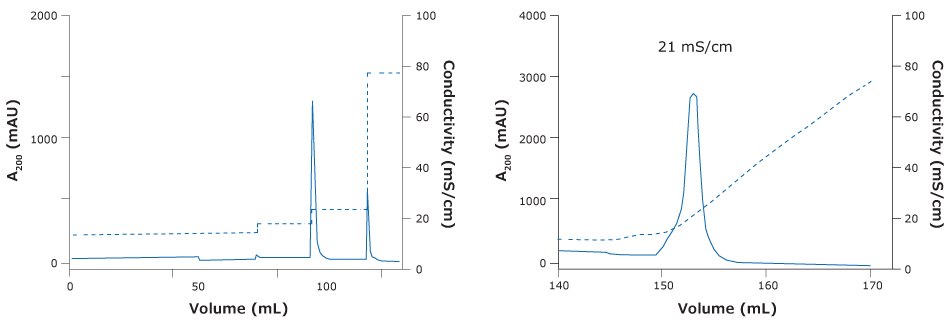 Chromatography of ChAdOx-2-RabG vaccine Chromatography of ChAdOx-2-RabG vaccine