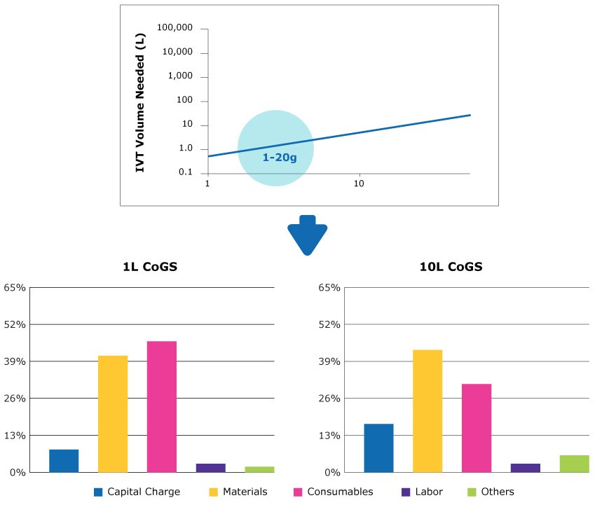 Costs for annual demand of 1 to 20 g of mRNA Two strategies for meeting a low annual forecasted mRNA demand.