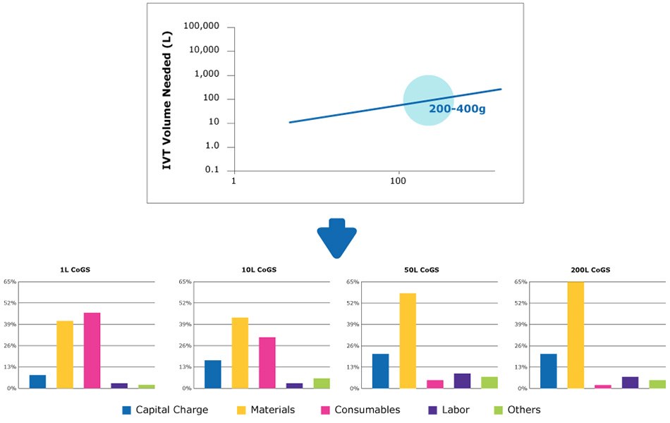 Costs for annual demand of 200 to 400 g of mRNA Strategies for meeting a medium forecasted annual mRNA demand.