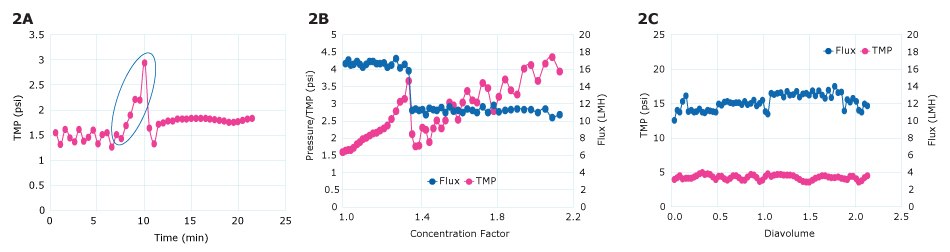 Critical flux testing Optimization of flow rate for TFF cell harvest.