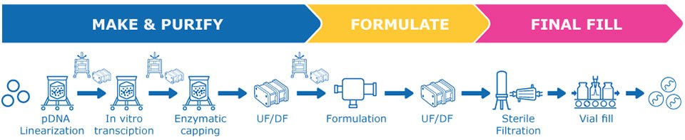 Schematic of mRNA process used in cost model The modeled mRNA process began with plasmid DNA as the in vitro transcription template and ended with the formulated lipid nanoparticle (LNP) product