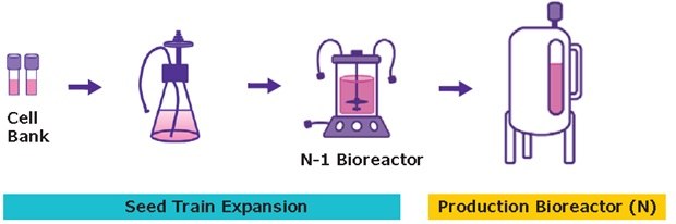 Suspension Process for Viral Vector Production Suspension Process for Viral Vector Production