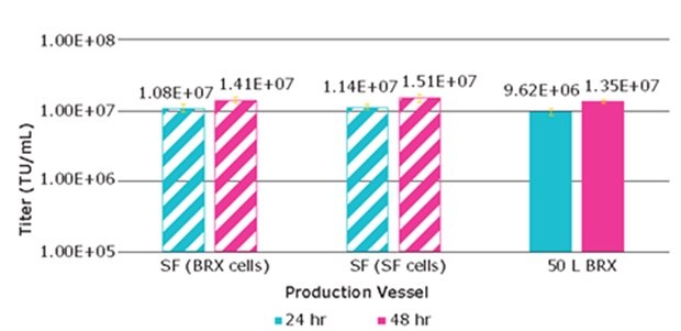 Lentivirus production from VirusExpress® 293T cells Lentivirus production from VirusExpress® 293T cells from shake flasks or bioreactor after 24 hours and 48 hours