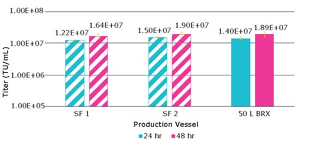 Lentivirus titer from VirusExpress® 293T cells produced via transient transfection, run 2 Lentivirus titer from VirusExpress® 293T cells produced via transient transfection
