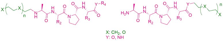 AVP-based lead compounds are turned into degrader building blocks through linker conjugation at the N- or C-terminus. AVP-based lead compounds are turned into degrader building blocks through linker conjugation at the N- or C-terminus.