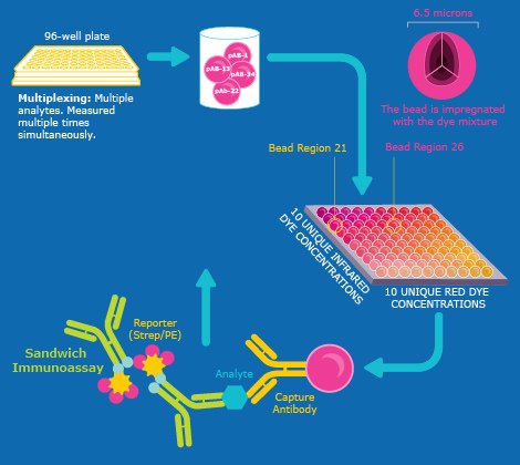 RituPlex and InnoPlex, high-throughput PCAs. RituPlex and InnoPlex, high-throughput PCAs.