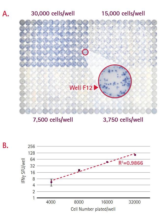figure6-ifny-elispot-pbmc Ifny elispot pbmc