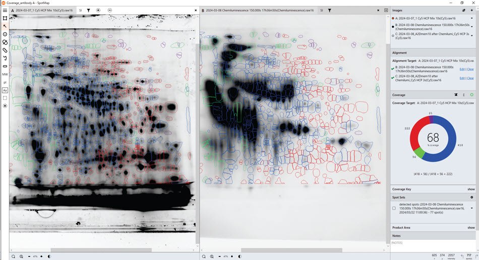 Use of SpotMap software for HCP coverage testing. HCP coverage test with Anti-HCP antibody A. Total protein data obtained from the gel (pre-labelling, left), Western blot data with Anti-HCP antibody A (right). SpotMap version number: 5.1.003.