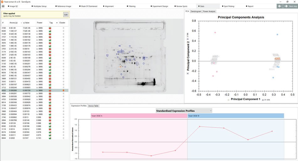 Analysis of upregulated proteins in yeast samples using the SameSpots software. Principal component analysis suggests strong correlation between proteins that were upregulated in the Yeast B vs the Yeast A strain.