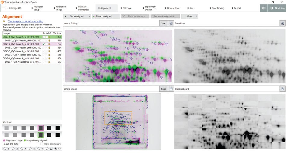 Robust and consistent spot detection using the SameSpots software to analyze the data from figure 12. Subsequent analysis using the SameSpots software of the gels from figure 12 using the automatic alignment feature for spot matching without manual intervention (cropping/rotation/manual alignment) suggests robust and consistent spot detection.