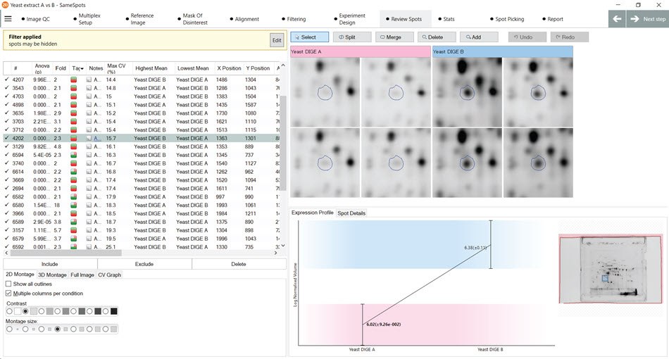 Use of "Quick Tags" feature in the SameSpots software. Demonstration of the “Quick Tags” feature in the SameSpots software that are used to identify spots with a user-configurable fold change in expression