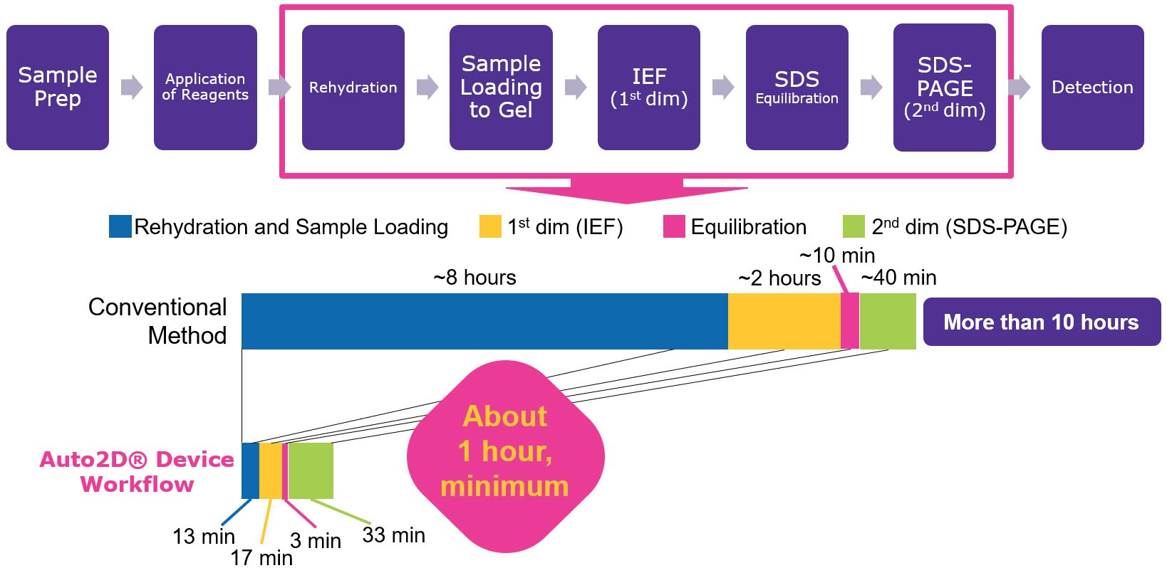 2DE Workflow and Where Auto2D® Device Automates Procedimiento de trabajo de la electroforesis bidimensional en gel y los pasos que están automatizados en el Auto2D®.