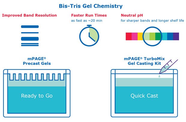 Bis-Tris gel technology features and benefits Bis-Tris gel technology features and benefits.