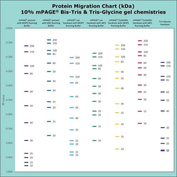 Protein migration chart (kDa) 10% mPAGE Bis-Tris and Tris-Glycine gel chemistries. Protein migration chart for Bis-Tris and Tris-Glycine gel chemistries. The chart displays the migration for 10% gels: mPAGE Bis-Tris precast gel with MOPS & MES Running Buffer, mPAGE LUX Bis-Tris handcast gel with MOPS and MES Running Buffer, mPAGE TurboMix handcast gel with MOPS and MES Running Buffer, and Tris-Glycine handcast gels with Tris-Glycine Running Buffer. Moderate gel percentages such as 10 &12% are used for broad separation across the molecular range. Separation of proteins on Bis-Tris gels can be further optimized with the use of MES or MOPS running buffer. MOPS running buffer is preferred for separation of mid to high molecular weight proteins, while MES running buffer has advantages for separating mid to low molecular weight proteins.