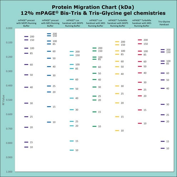 Protein migration chart (kDa) 12% mPAGE Bis-Tris and Tris-Glycine gel chemistries. Protein migration chart for Bis-Tris and Tris-Glycine gel chemistries. The chart displays the migration for 12% gels: mPAGE Bis-Tris precast gel with MOPS & MES Running Buffer, mPAGE LUX Bis-Tris handcast gel with MOPS and MES Running Buffer, mPAGE TurboMix handcast gel with MOPS and MES Running Buffer, and Tris-Glycine handcast gels with Tris-Glycine Running Buffer. Moderate gel percentages such as 10 &12% are used for broad separation across the molecular range. Separation of proteins on Bis-Tris gels can be further optimized with the use of MES or MOPS running buffer. MOPS running buffer is preferred for separation of mid to high molecular weight proteins, while MES running buffer has advantages for separating mid to low molecular weight proteins.