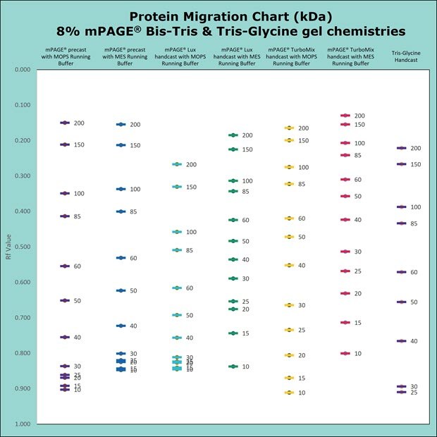 Protein migration chart (kDa) 8% mPAGE Bis-Tris and Tris-Glycine gel chemistries. Protein migration chart for Bis-Tris and Tris-Glycine gel chemistries. The chart displays the migration for 8% gels: mPAGE Bis-Tris precast gel with MOPS & MES Running Buffer, mPAGE LUX Bis-Tris handcast gel with MOPS and MES Running Buffer, mPAGE TurboMix handcast gel with MOPS and MES Running Buffer, and Tris-Glycine handcast gels with Tris-Glycine Running Buffer. Lower gel percentages such as 8% are used for better separation at the higher molecular weight range. Separation of proteins on Bis-Tris gels can be further optimized with the use of MES or MOPS running buffer. MOPS running buffer is preferred for separation of mid to high molecular weight proteins, while MES running buffer has advantages for separating mid to low molecular weight proteins.