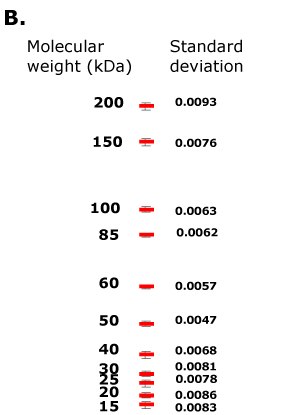mPAGE® Lux Casting System reproducibility demonstrated through standard deviation calculations of relative migration distance Se demuestra la reproducibilidad del sistema mPAGE® Lux Casting a través de cálculos de desviación estándar de la distancia de migración relativa de los marcadores de peso molecular sin teñir para cada una de las cuatro bandas de proteína de gel bis-tris cuando se ejecuta en las mismas condiciones.