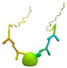 Detection Protein Modifications Detection of Protein Modifications
