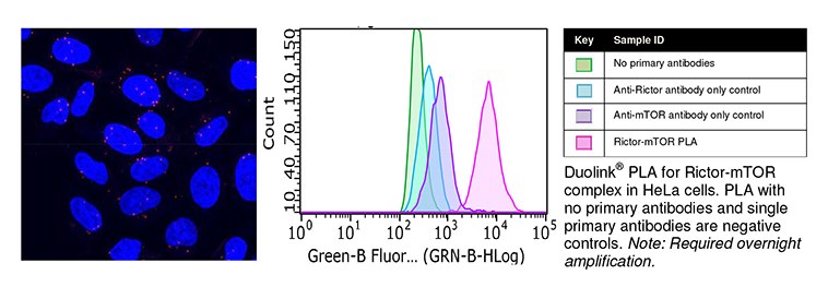 Microsoft Word - FIgs for flowPLA landing page 0823.docx Low-abundant Protein-Protein Interactions using Duolink® flowPLA
