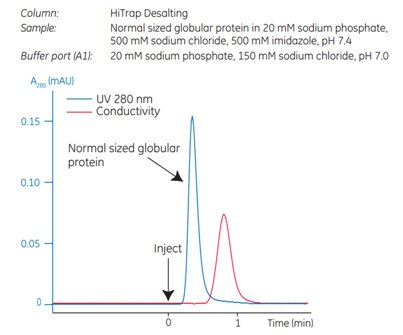 Typical desalting of a normal sized globular protein using a chromatography system. Typical desalting of a normal sized globular protein