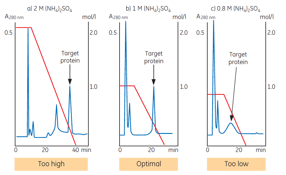 Salt concentration in the start buffer influences selectivity and resolution. Salt concentration